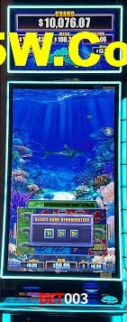 Live Casino Bet003